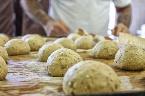 pane senza glutine